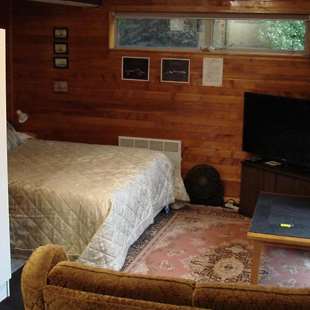 Cosy Studio Apartment Christchurch Bagian luar foto