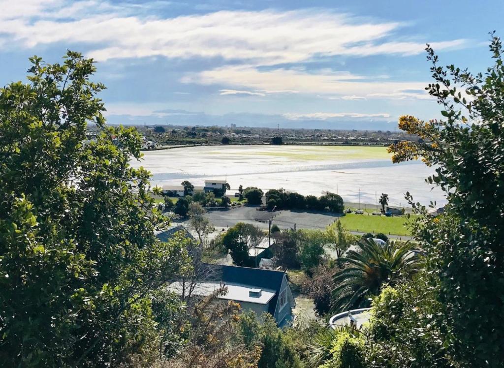 Cosy Studio Apartment Christchurch Bagian luar foto
